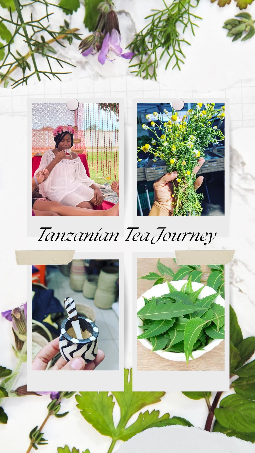 Our Tanzanian Tea Journey